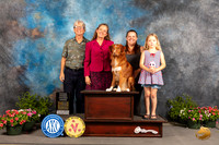 Nova Scotia Duck Tolling Retriever #5 Family