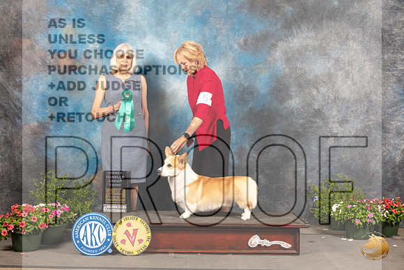 Pembroke Welsh Corgi #5 Sat OHG3 Judge Jan Paulk_MJ_0587_SA_2022_HR3