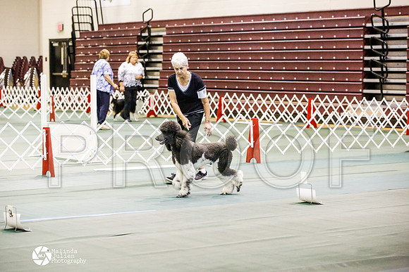 _JJ_4286-BsrCtyJun2014-HR3