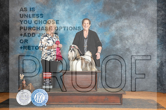 Shih Tzu #8 Sun G2 Judge Lisa Graser__JP_8756_MARSHALL_2024_HR3