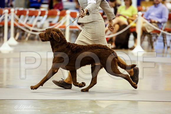 _JN_3909-HstnJul2014-HR3