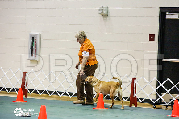 _JJ_2682-BsrCtyJun2014-HR3