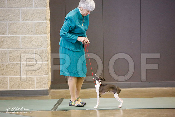 _JN_3321-BeltonJan2015-HR3
