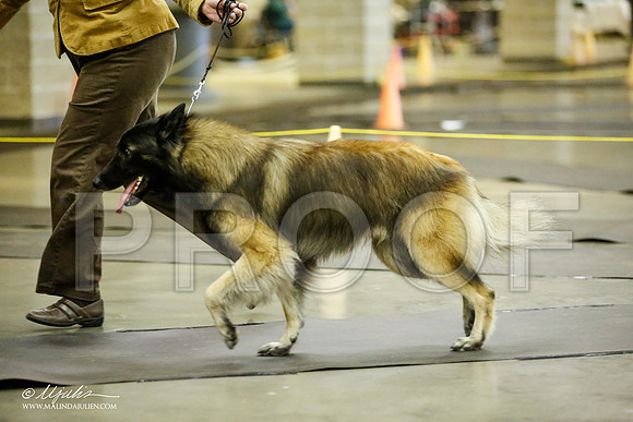 _JJ_6136-BeltonJan2015IABCA-HR3