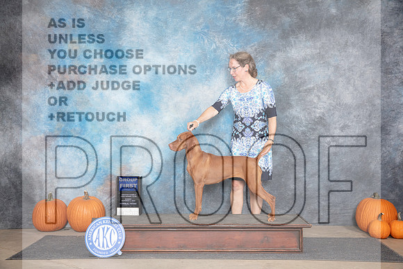 Vizsla #8 Sun G1 Judge Jan Paulk__JP_9506_Humble_2024_HR3