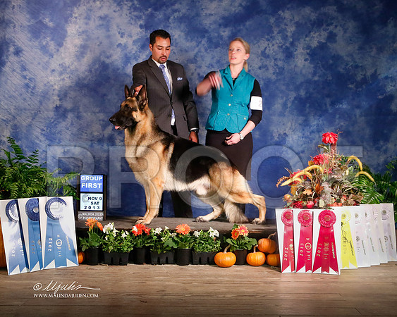 GSD-4894-HstnNov13-HR