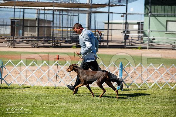 _JN_5977-AlamogordoOct2014-HR3