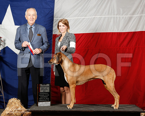 _ST_1695-2-AmarilloSep2014-HR3