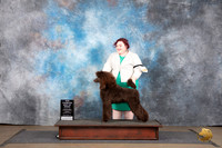 Poodle Standard #482 Sun BOB NCh Judge Jennifer Landers