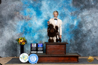 Miniature Poodle #8 Sat BOVBOWWB Judge Edy Dykstra-Blum