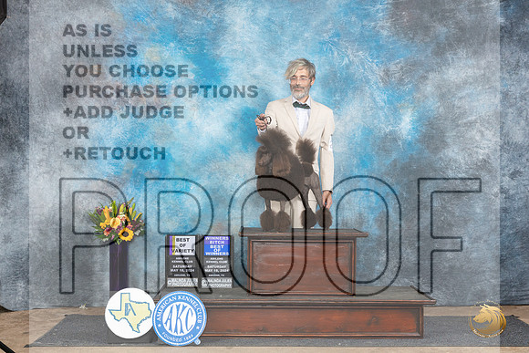 Miniature Poodle #8 Sat BOVBOWWB Judge Edy Dykstra-Blum__JP_9960_Abilene_2024_HR3