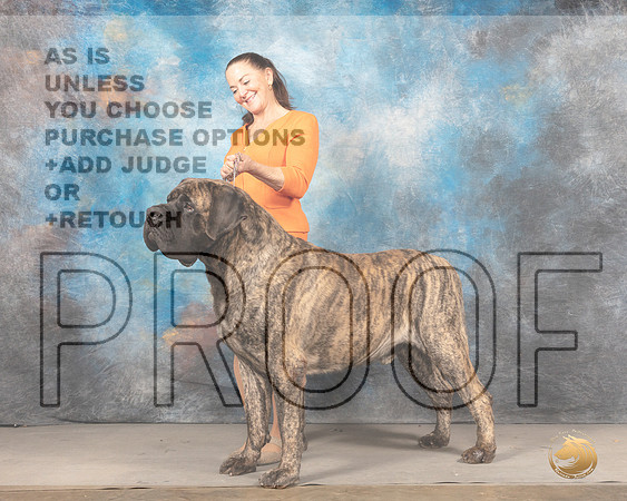 Mastiff #5MMJ_4343_Mdlnd2022_HR3