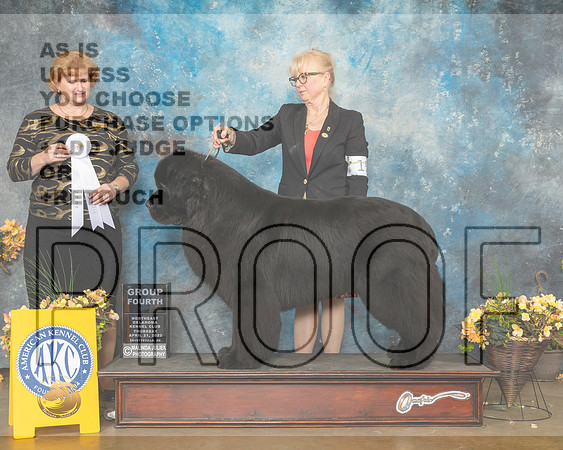 Newfoundland #5 Thur G4 Judge Betty Pollock-MMJ_9010-NWARK2022-HR3