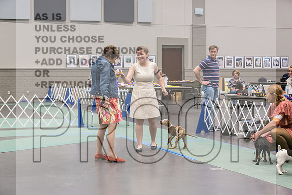 Puppy BIS Sat Rings_JJL_1126_UKCLNGVIEWOCT2024_2024_HR3