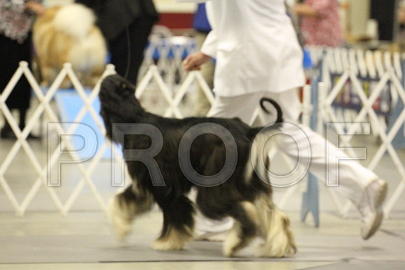 MJS_0023