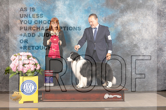 Border Collie #? THUR G2 Judge Linda Hurlebaus_MJ_4421_Houston_2022_HR3