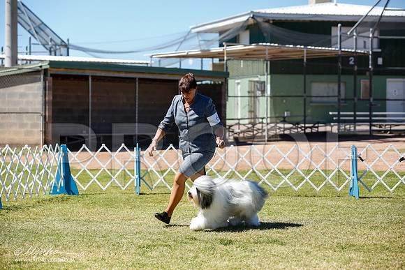 _JN_4881-AlamogordoOct2014-HR3