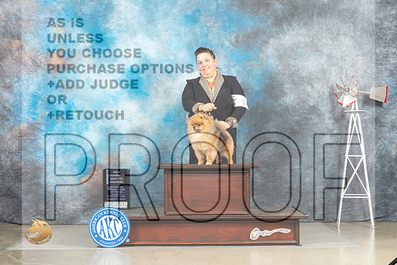Pomeranian #9 Thur BOWCh Judge Joan Liebes r_MJ_3989_Amarillo_2022_HR3
