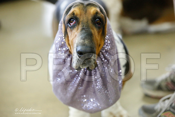 _JJ_3436-DallasJul2014-HR3