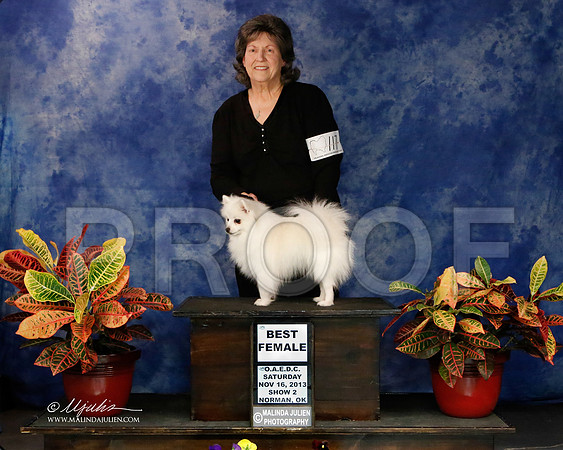 AE-8763-NormNov2013-HR