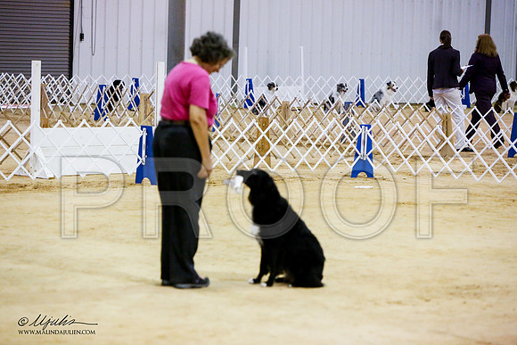 _JN_7207-ASCACollegeStationNov2014-HR3