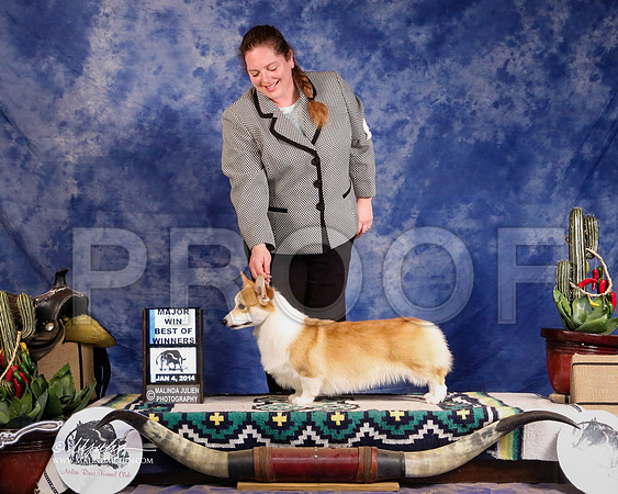 CorgPW-1738-GRJan14-HR