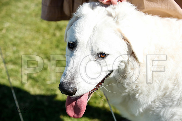 _JN_0693-AlamogordoOct2014-HR3