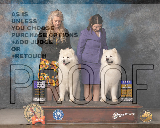 Samoyed #7 BOB #17 Fri WD Judge Del RichardsMMJ_3093_Mdlnd2022_HR3