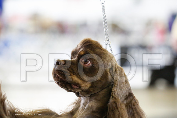 _RH_0526-DallasJul2014-HR3