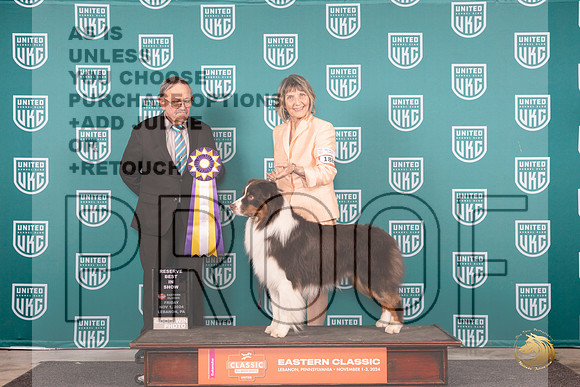 Australian Shepherd #188 Fri RBIS Judge Keith Kozaklewicz__JP_1919_UKCEastern_2024_HR3