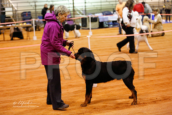 rott-0339-MrshlDec13-HR