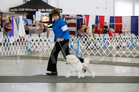 _JJ_5855-DallasJul2014-HR3