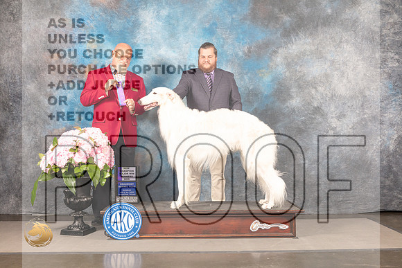 Borzoi #11 Sun WD Judge Jeff Bazell_MJ_7728_Houston_2022_HR3