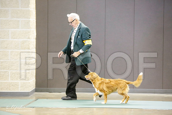 _LH_3102-BeltonJan2015-HR3