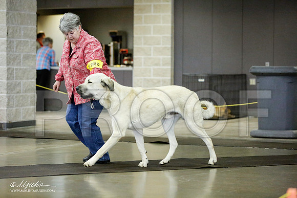 _RH_1505-BeltonJan2015IABCA-HR3