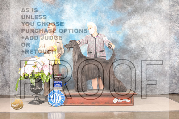 Afghan Hound #15 SUN G3 Judge Timothy CattersonAfghan Hound #15 SUN G3 Judge Timothy Catterson_MJ_8259_Houston_2022_HR3_Houston_2022_HR3
