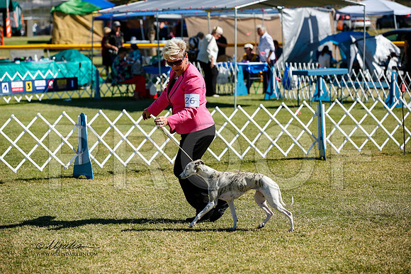 _JJ_2875-AlamogordoOct2014-HR3