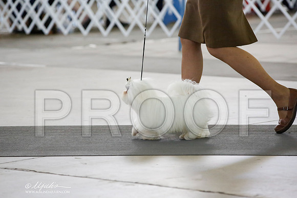 _CK_3014-DallasJul2014-HR3