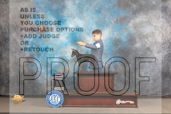Manchester Terrier #J418 Wed BJr Judge Edd Biven_MJ_3234_Houston_2022_HR3