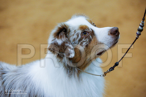 _JJ_6686-GlnRoseJan2015-HR3