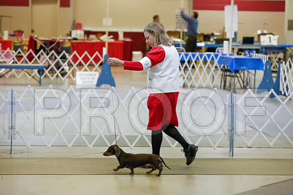 _JJ_3585-AmarilloSept2014-HR3