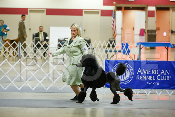 _JJ_0017-AmarilloSept2014-HR3