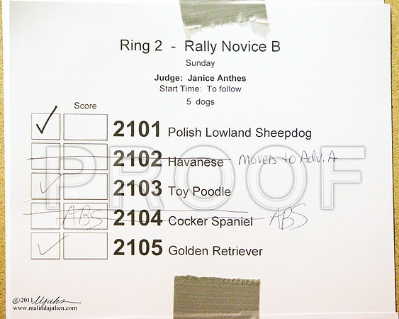 RAB Sun-0022