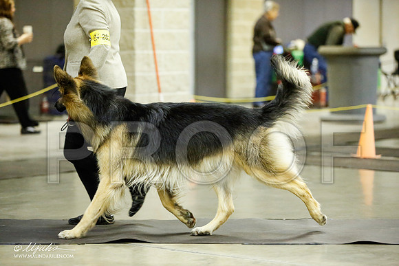 _JJ_6626-BeltonJan2015IABCA-HR3
