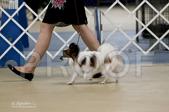WPCL1799LR
