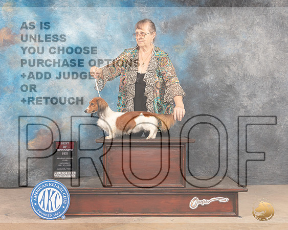 Dachshund #7 Sat BOS-MMJ_3890-Abilene2022-HR3