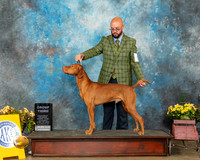 Vizsla #11 Sat G3 Judge Laurie Telfair