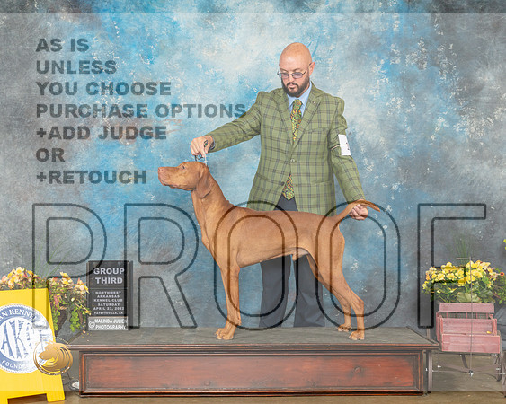 Vizsla #11 Sat G3 Judge Laurie Telfair-MMJ_0838-NWARK2022-HR3