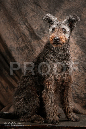_ST_3950-2-Pumi-HR3