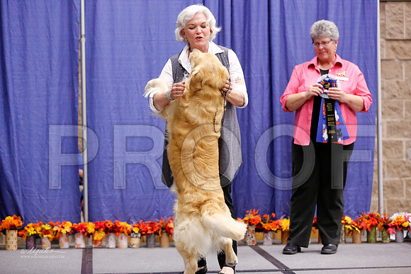 POTH-7359-WFOct2013-HR